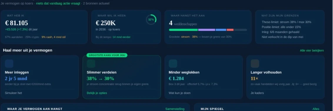 Vermogensoverzicht in WhatsNext met verschillende bezittingen samengebracht